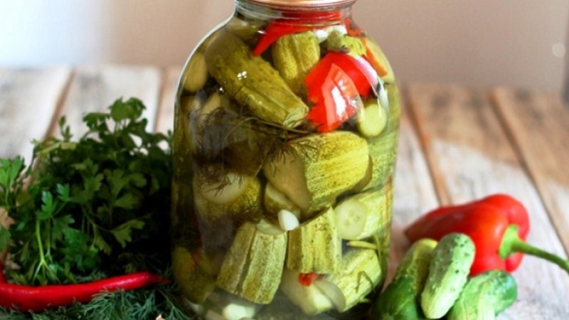 Caractéristiques du marinage de gros concombres