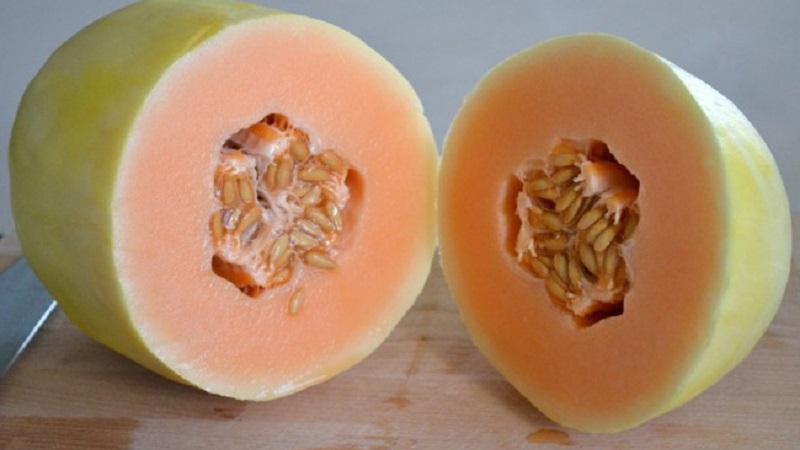 Pourquoi le melon est-il rose à l'intérieur et pouvez-vous le manger