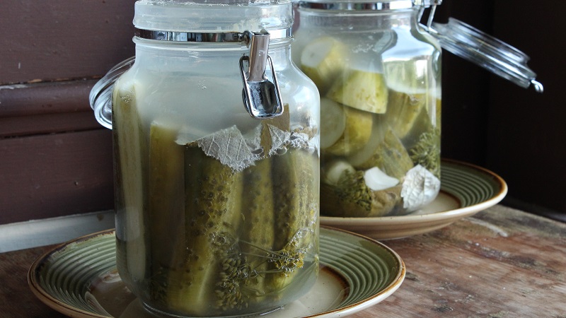 Pourquoi la moisissure peut apparaître sur les cornichons et que faire à ce sujet