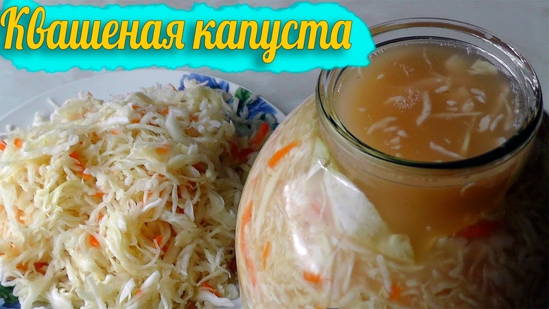 Une sélection des meilleures recettes de choucroute dans son jus