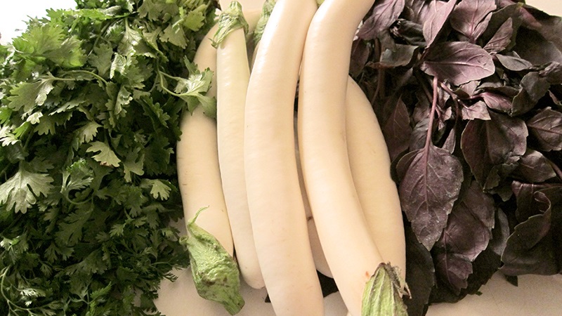 Une sélection des meilleures variétés d'aubergines pour une serre en polycarbonate