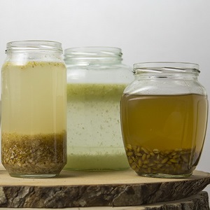 Les avantages et les inconvénients du seigle germé pour les humains