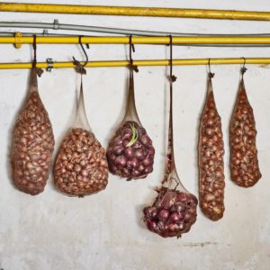 Instructions étape par étape sur la façon de garder les oignons pour l'hiver à la maison