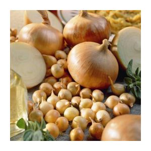 Instructions étape par étape sur la façon de garder les oignons pour l'hiver à la maison