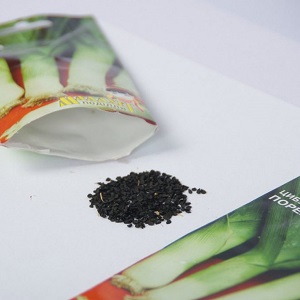 Guide étape par étape de la culture de poireaux à partir de graines pour les jardiniers débutants