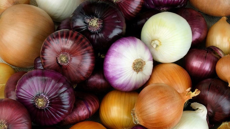Les raisons pour lesquelles vous voulez des oignons: ce qui suffit pour le corps