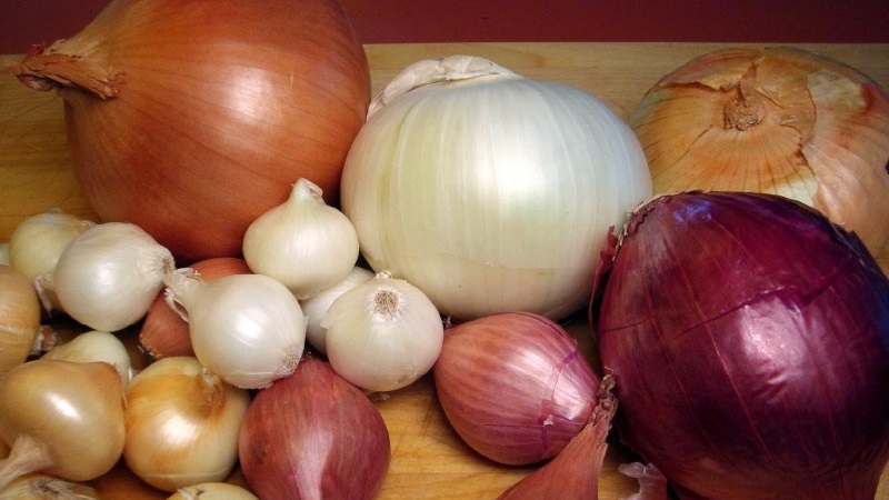Les raisons pour lesquelles vous voulez des oignons: ce qui suffit pour le corps