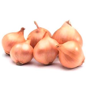 Variété hivernale d'oignons de Shakespeare à maturité précoce et résistante au gel