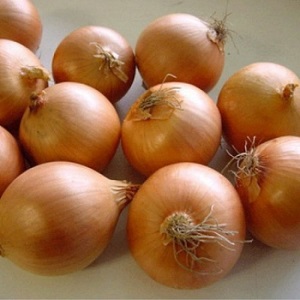 Une variété d'oignon mûr précoce pour une utilisation universelle Strigunovsky local