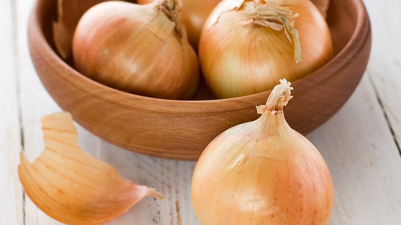 Une variété d'oignon mûr précoce pour une utilisation universelle Strigunovsky local