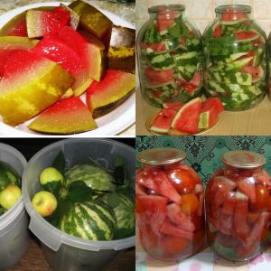 Recettes pour conserver les pastèques à la moutarde pour l'hiver