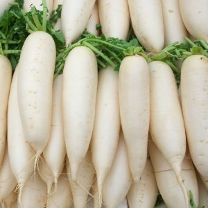 Variétés de carottes blanches et leurs propriétés bénéfiques pour le corps humain