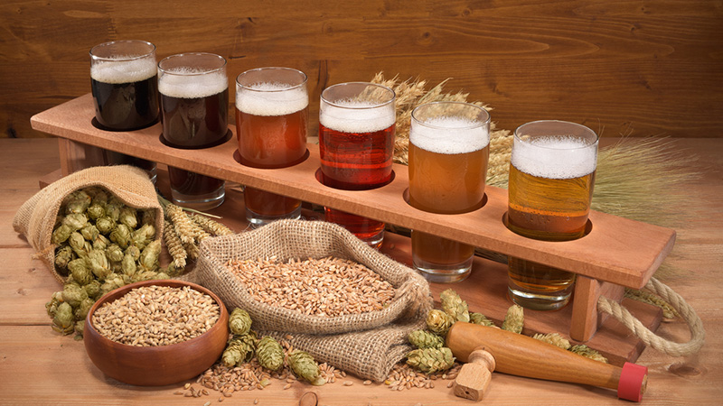 Caractéristiques et description de la variété d'orge Vakula