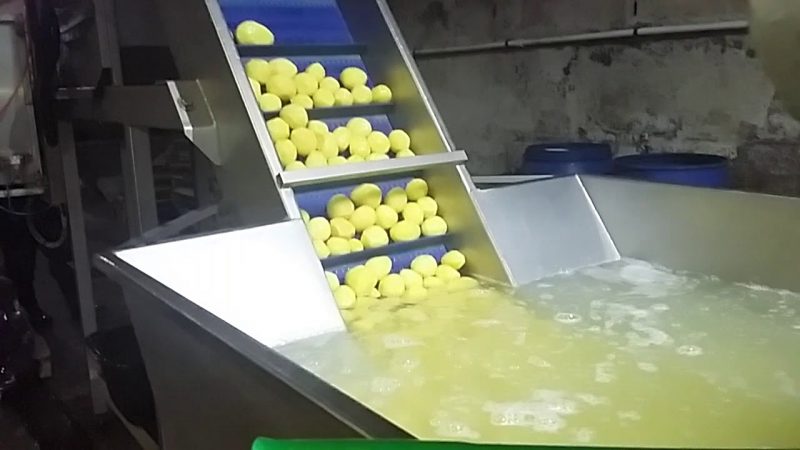 Qu'est-ce que la sulfitation de la pomme de terre et à quoi ça sert