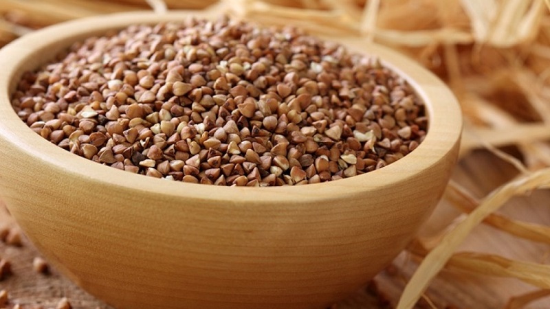 Propriétés utiles et teneur en calories du sarrasin cuit à la vapeur avec de l'eau bouillante