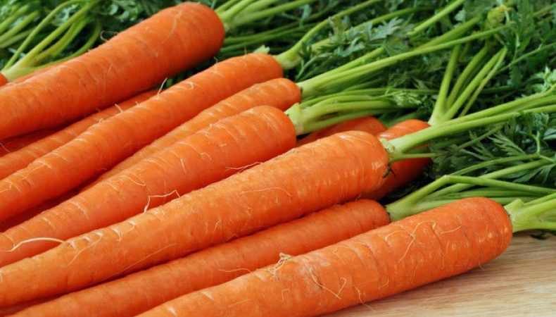 Cultiver des carottes dans la voie du milieu: un aperçu des meilleures variétés