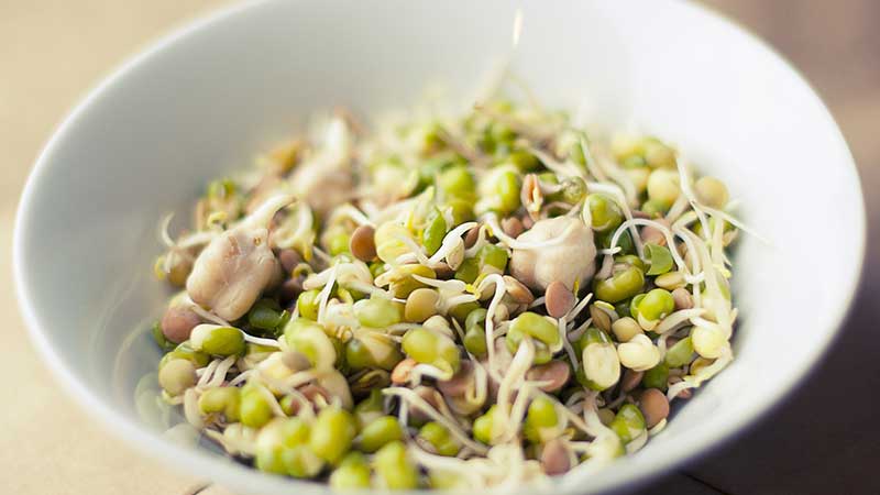 Les avantages et les inconvénients du sarrasin vert pour le corps humain