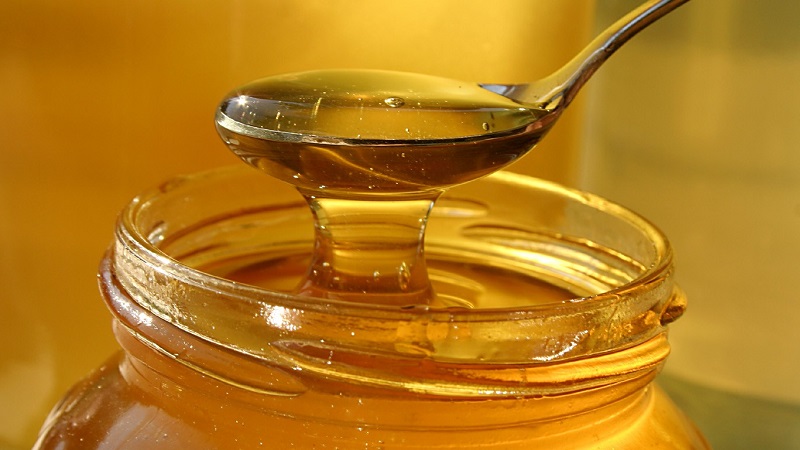 Comment faire cuire et utiliser des oignons avec du miel pour la toux