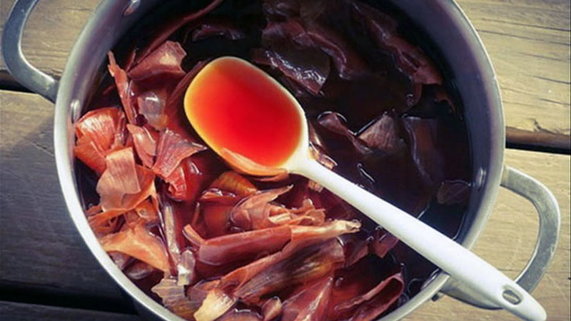 Pourquoi la décoction de pelure d'oignon est-elle utile et comment l'utiliser