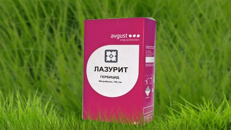 Comment se débarrasser des mauvaises herbes sur les pommes de terre en utilisant le Lapis Lazuli ou ses analogues