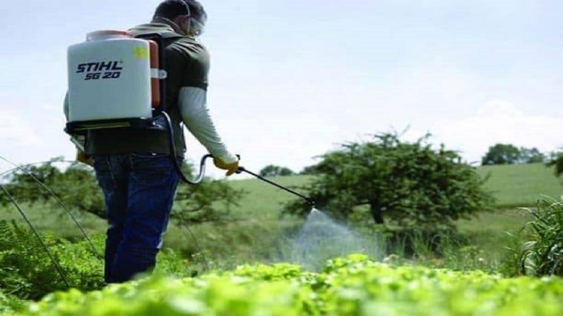 Comment se débarrasser des mauvaises herbes sur les pommes de terre en utilisant le Lapis Lazuli ou ses analogues