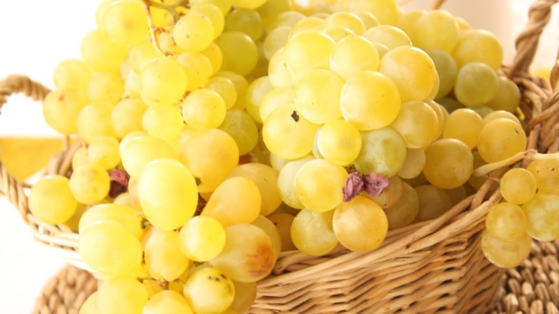 Cuisiner une choucroute incroyable avec des raisins selon les meilleures recettes