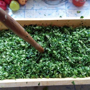 Comment faire des feuilles de chou vert pour l'hiver