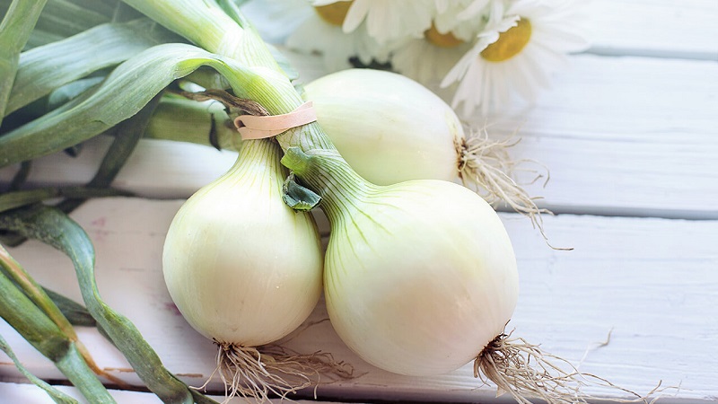 Pourquoi pouvez-vous utiliser des oignons blancs?