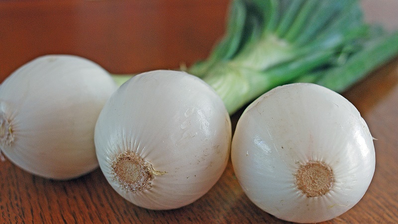 Pourquoi pouvez-vous utiliser des oignons blancs?