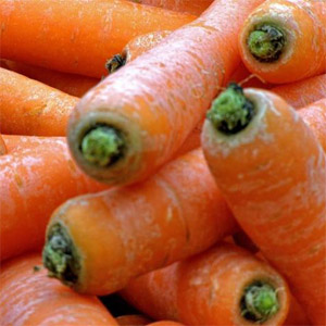 Nous sauvegardons correctement la récolte: comment couper les carottes pour les stocker pour l'hiver et pourquoi vous en avez besoin