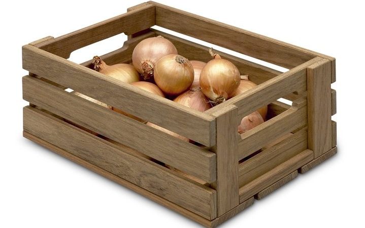 Meilleures recommandations: comment garder les oignons à la maison dans un appartement