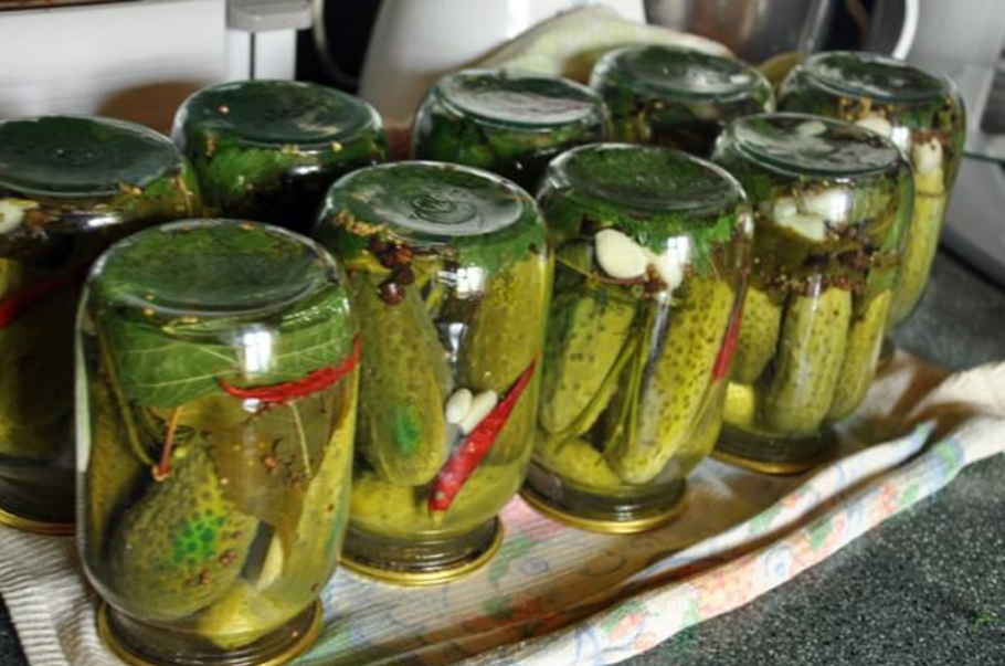 Comment saler les concombres amers pour l'hiver et est-ce possible?