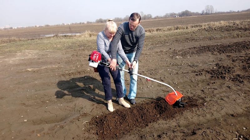 À quoi ressemble l'accessoire coupe-pommes de terre et comment l'utiliser correctement