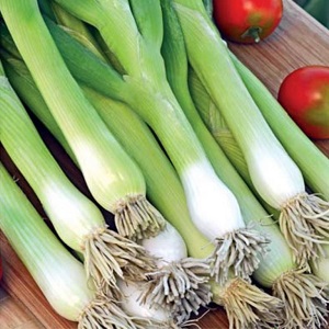 Comment faire pousser un oignon batun: plantation et entretien en plein champ avant l'hiver