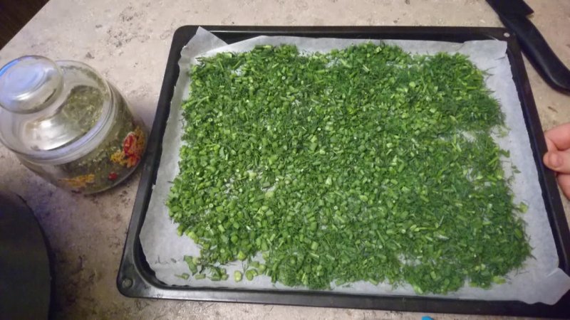 Recommandations étape par étape: comment sécher les oignons verts pour l'hiver à la maison