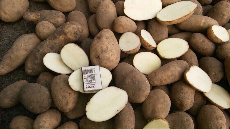 Quel est le calibre des pommes de terre (tableau) et qu'est-ce que cela signifie