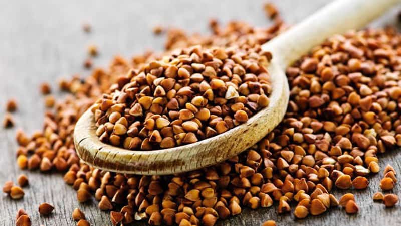 Teneur en calories du sarrasin, des pommes de terre et du millet - lequel est le plus sain