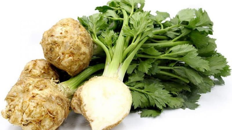 Pourquoi le céleri-rave est-il utile et comment l'utiliser correctement