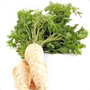 Pourquoi le persil racine est bon et pourquoi il vaut la peine de le cultiver