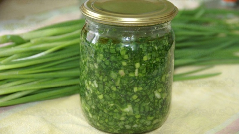 Les meilleures recettes pour saler rapidement et facilement les oignons verts pour l'hiver