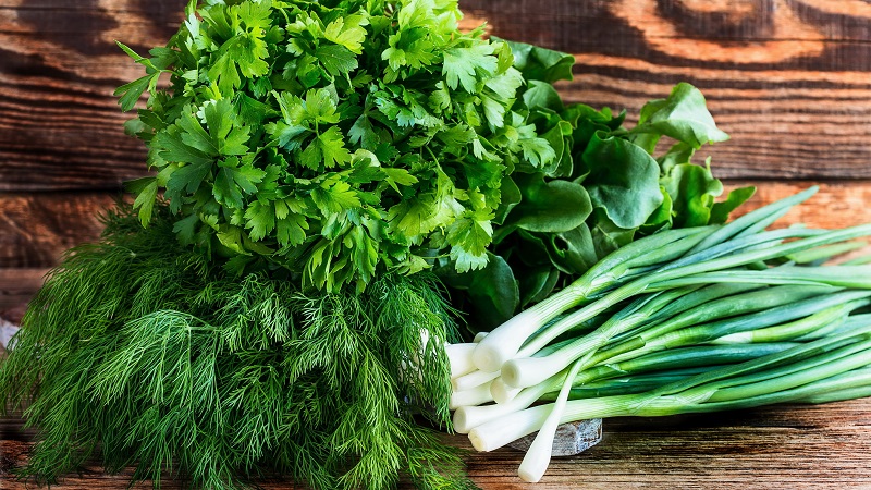 Les meilleures recettes pour saler rapidement et facilement les oignons verts pour l'hiver