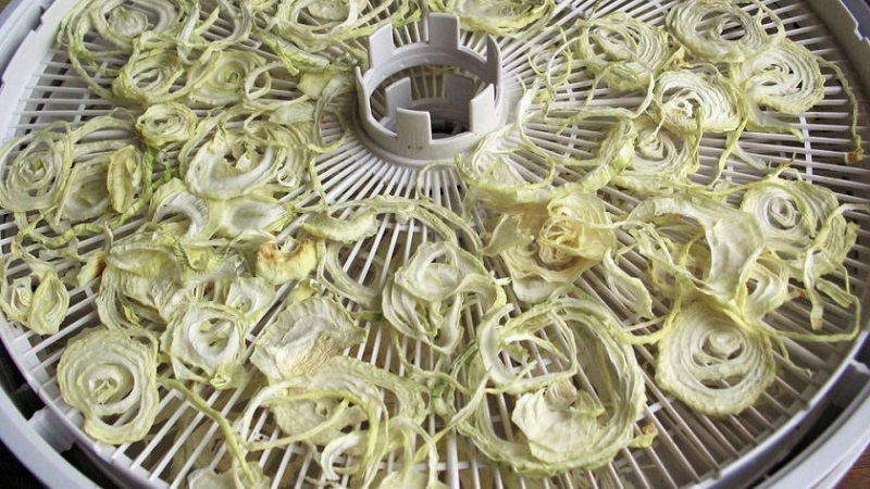 Meilleurs conseils: comment bien sécher les oignons après la récolte du jardin