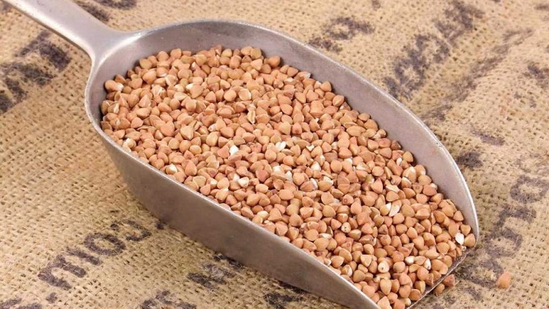 Peut-il y avoir des brûlures d'estomac causées par le sarrasin et pourquoi