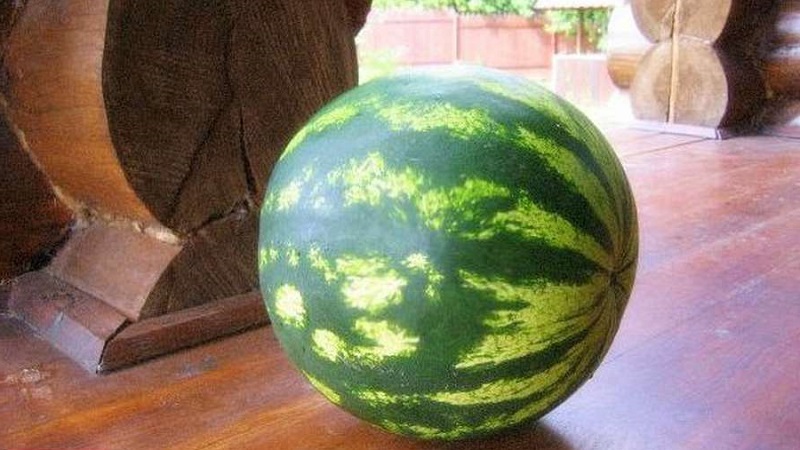 Est-il possible de manger une pastèque rose et pourquoi en est-il ainsi