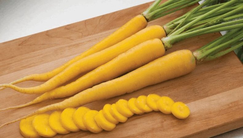 Propriétés utiles des carottes jaunes et quelle est la différence avec l'orange ordinaire