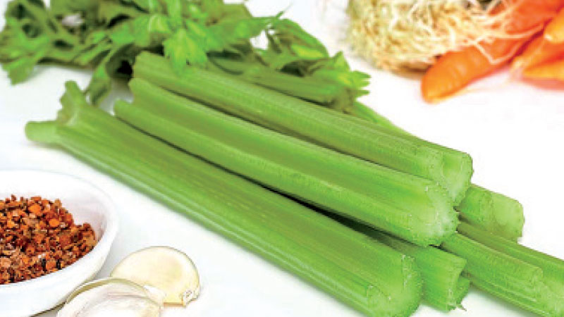Les avantages et les inconvénients du céleri pour la goutte