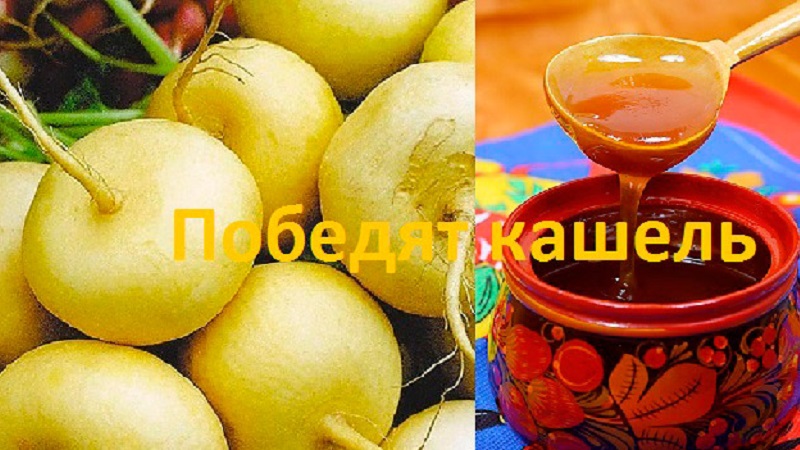 Le navet au miel aide-t-il la toux et comment utiliser correctement un tel médicament