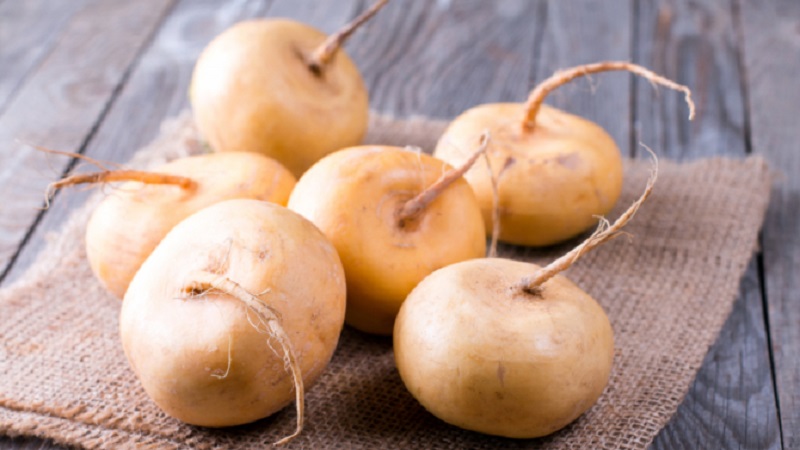 Qu'est-ce que le navet, à quoi il ressemble sur la photo, comment le cuisiner et le manger