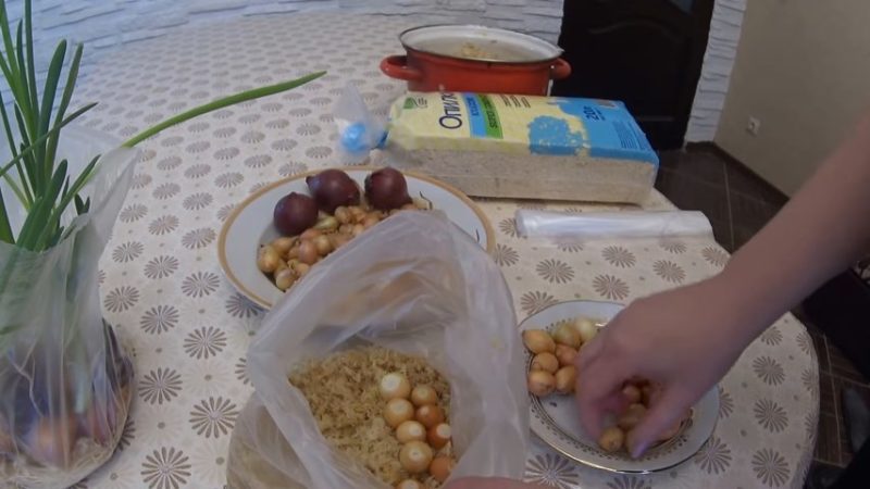 La technologie de plantation et de culture d'oignons dans un emballage sans terre est un super moyen!