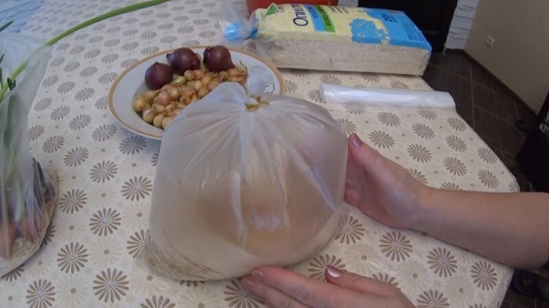 La technologie de plantation et de culture d'oignons dans un emballage sans terre est un super moyen!